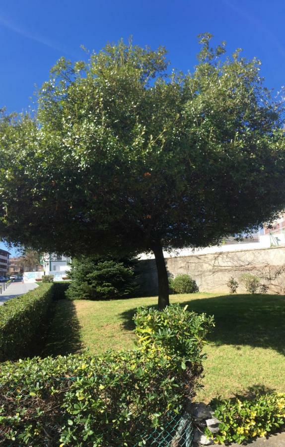 Getxo, Parking, Wifi, Metro公寓 外观 照片